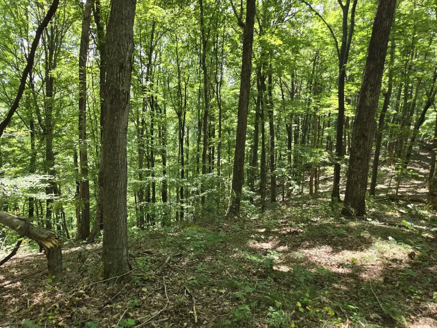 16 Seals Hollow Rd, Woodbury, TN 37190 - #2