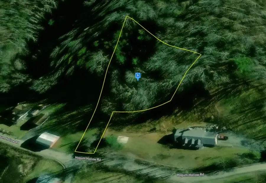 231 Hogum Hollow Rd, Roan Mountain, TN 37687 - #3