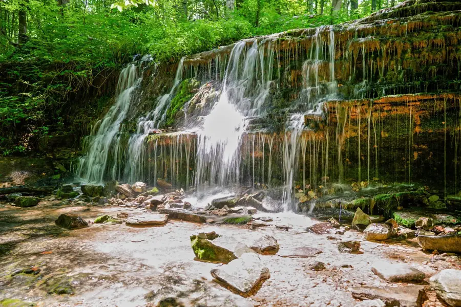 1561 Edgefield Ct, Cookeville, TN 38506 - #2