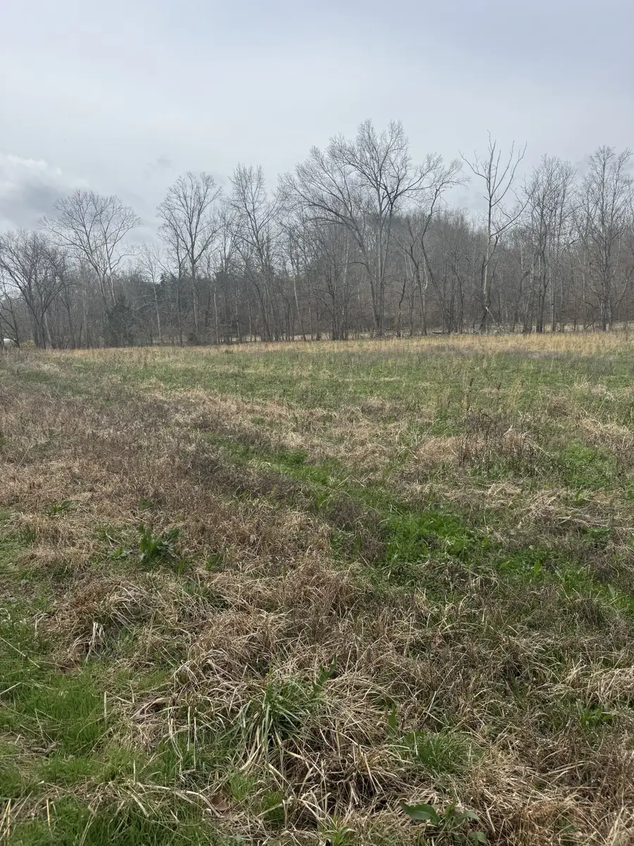 1234 Puncheon Creek Road, Lafayette, TN 37083 - #3