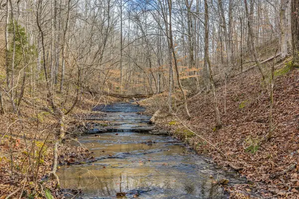 0 Old Sams Creek Road, Pegram, TN 37143