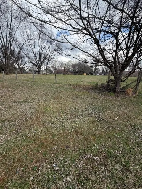 412 Garden St, Estill Springs, TN 37330 - #3