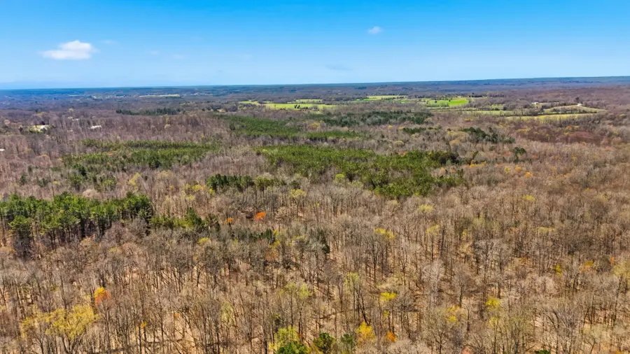 0 Fowler Rd, Beech Bluff, TN 38313 - #3