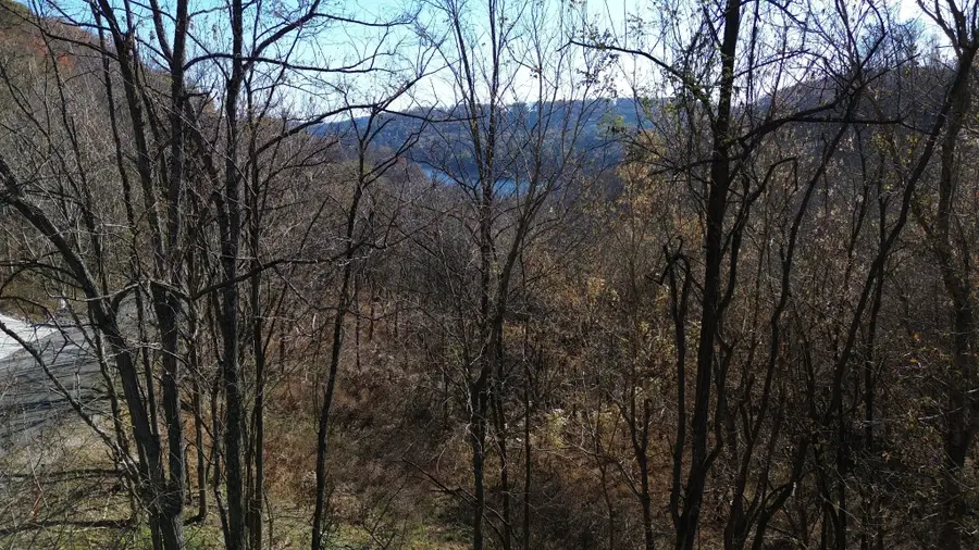 86 Blackberry Ridge Way, Smithville, TN 37166 - #2