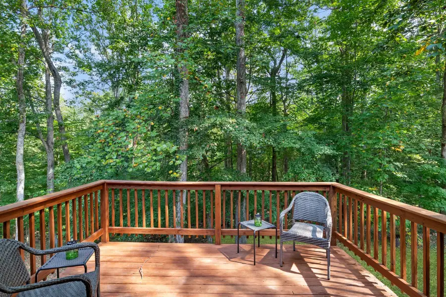 108 Katye Ct, Ashland City, TN 37015 - #3