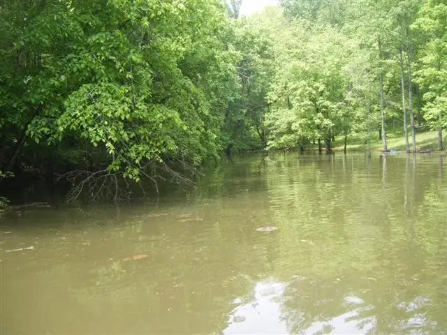 0 Gennies Way, Lynchburg, TN 37352 - #2