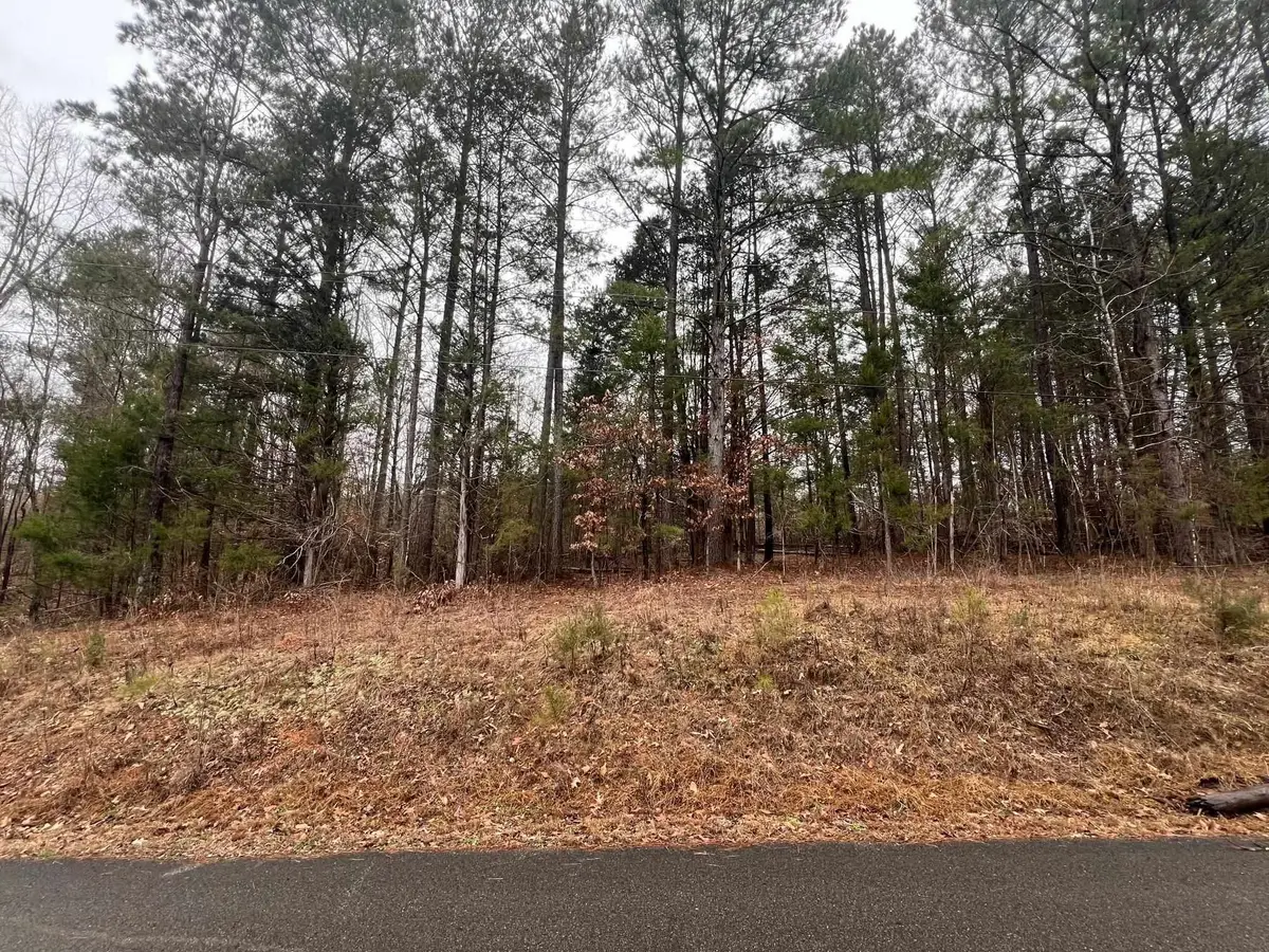 156 Iron Horse Trl, Parsons, TN 38363 - #1