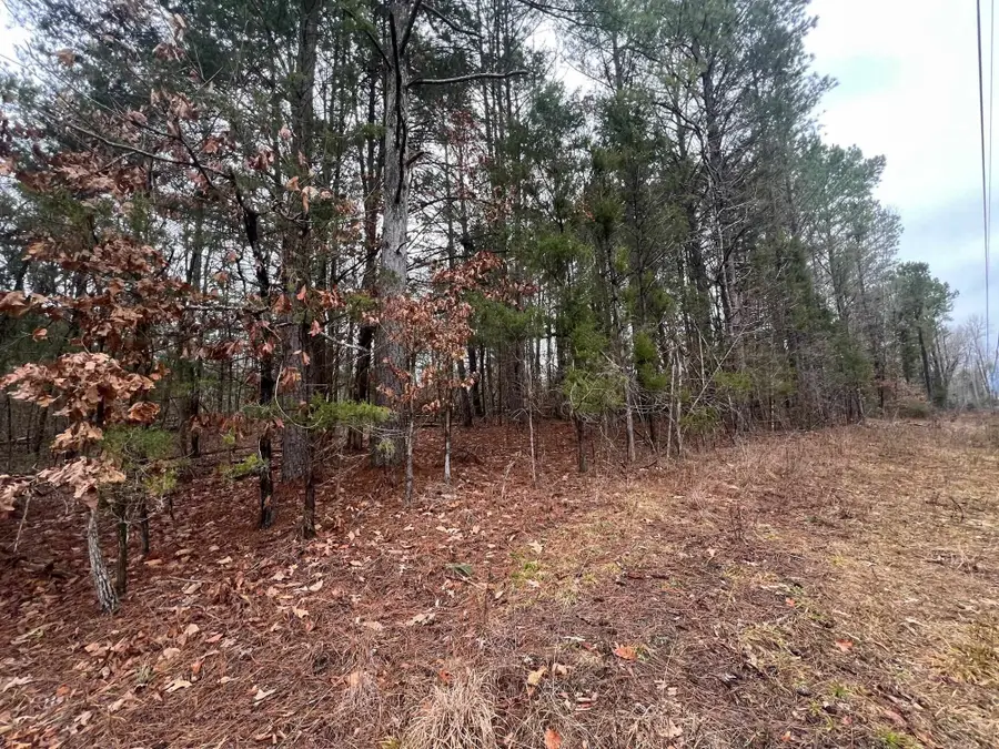 156 Iron Horse Trl, Parsons, TN 38363 - #3