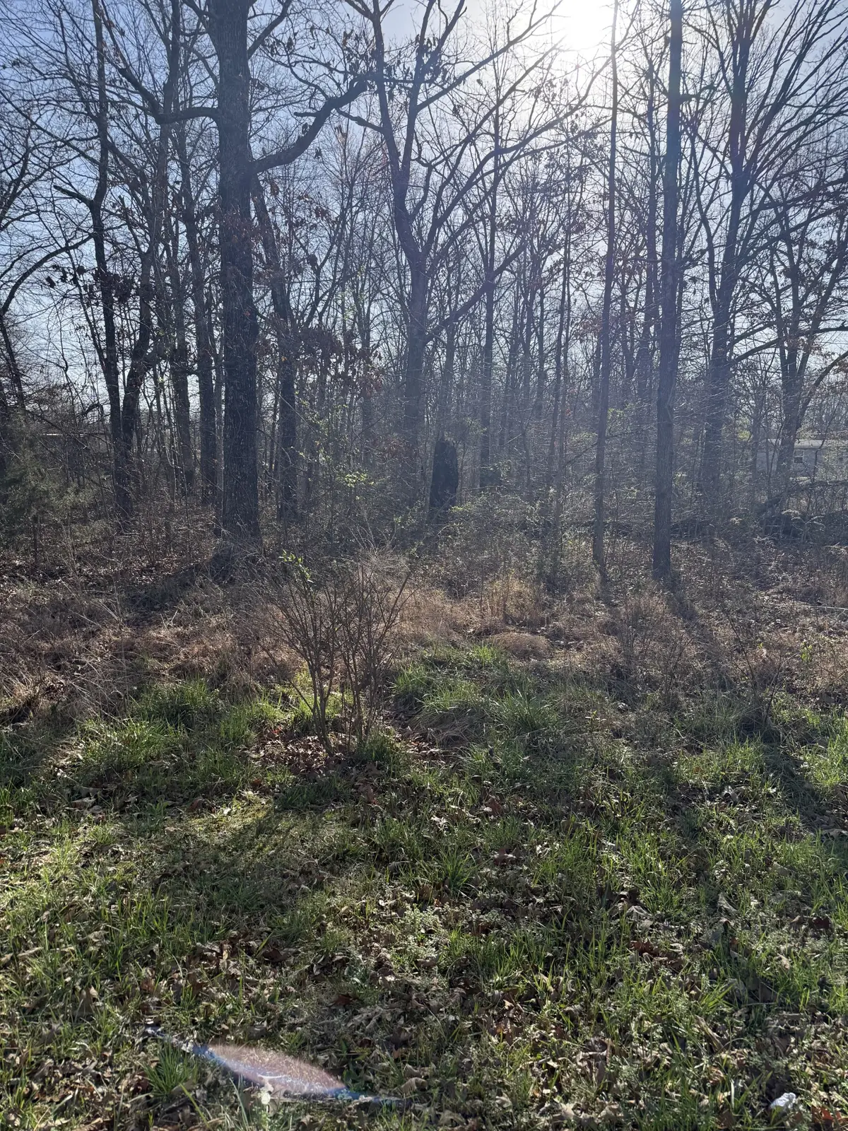 0 Cheyenne Cir, Beechgrove, TN 37018 - #1