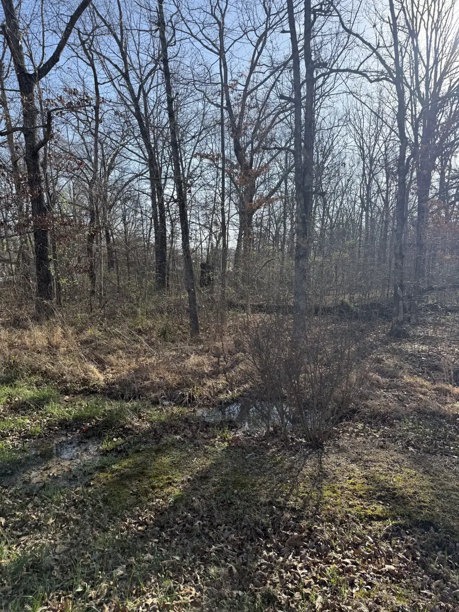 0 Cheyenne Cir, Beechgrove, TN 37018 - #3