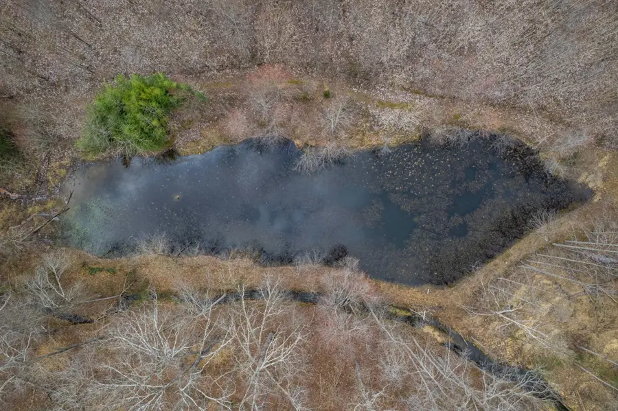 24 Busby Rd, Loretto, TN 38469 - #3