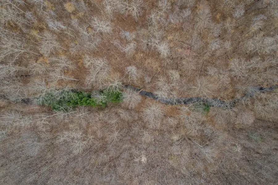 0 Busby Rd, Loretto, TN 38469 - #3