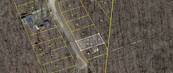 65 Blackwood Dr, Nunnelly, TN 37137