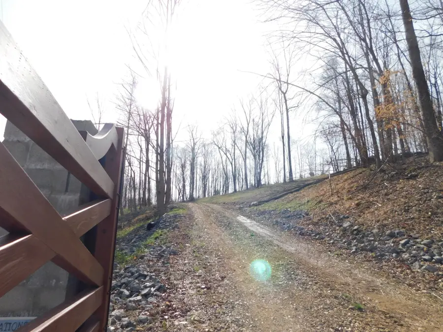 150 W John Davis Rd, Westmoreland, TN 37186 - #3