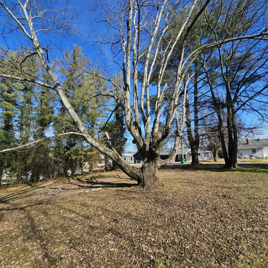 14 Holly Avenue, South Pittsburg, TN 37380 - #3