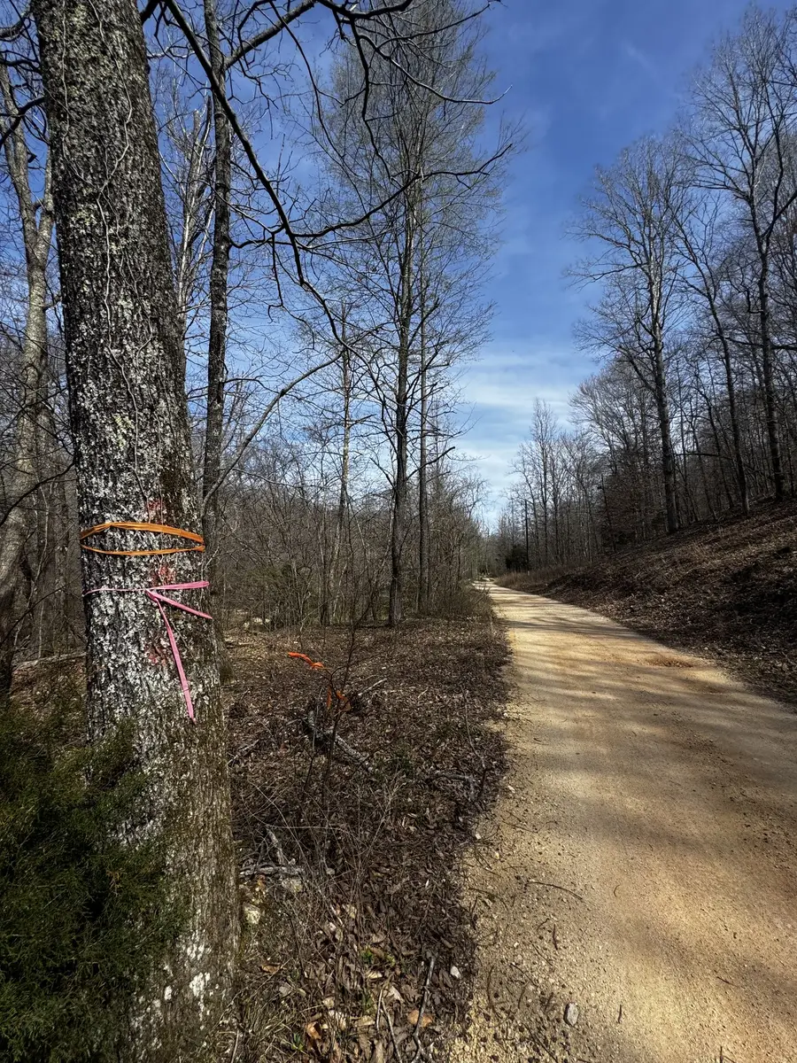 301 Bobcat Rd, Linden, TN 37096 - #2