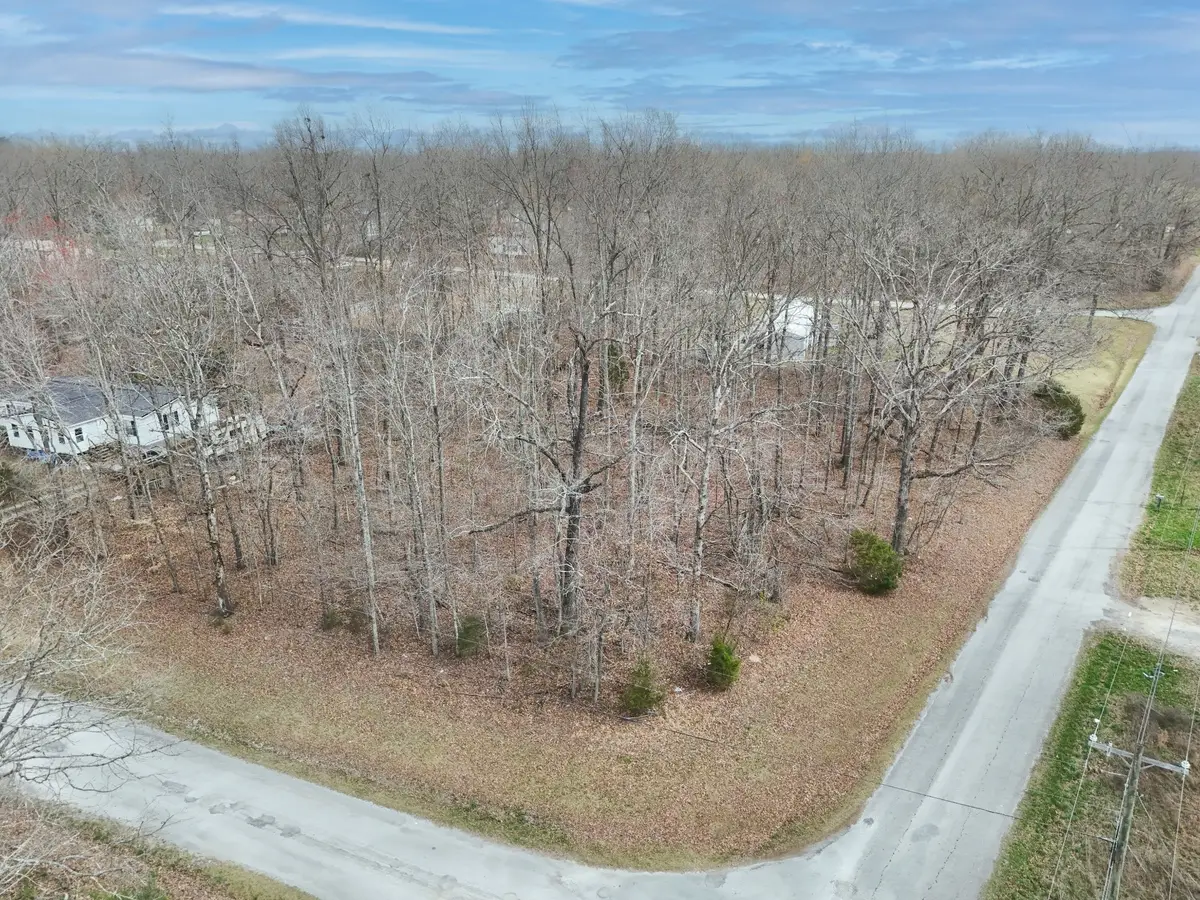 0 Lakewood Dr, Beechgrove, TN 37018 - #1