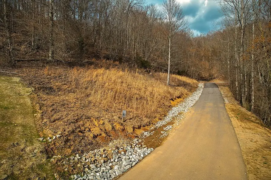 50D Crappie Lane, Hilham, TN 38568 - #3