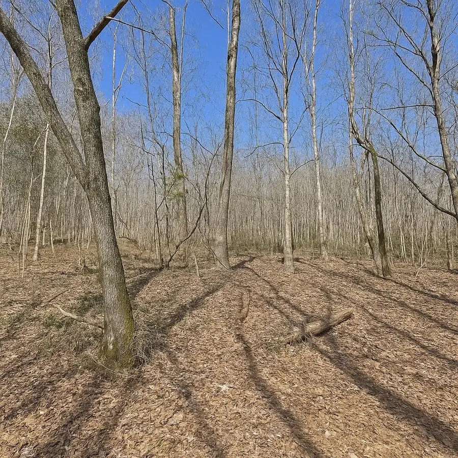 0 Douglas Bluff Ln, Stewart, TN 37175 - #3