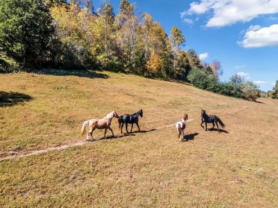 13581 Campbellsville Rd Lot 2, Lynnville, TN 38472 - #3