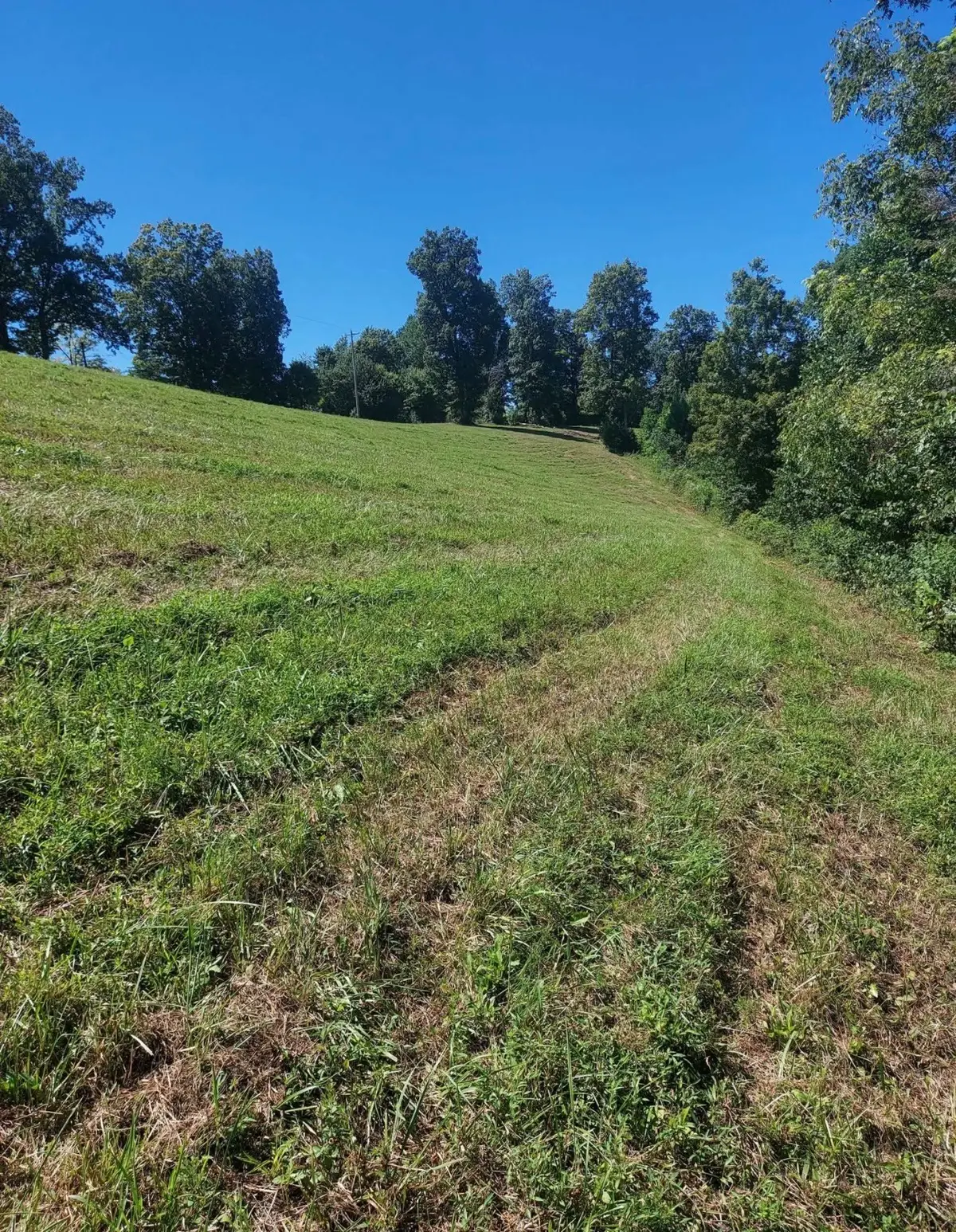 0 York Hwy, Gainesboro, TN 38562 - #1