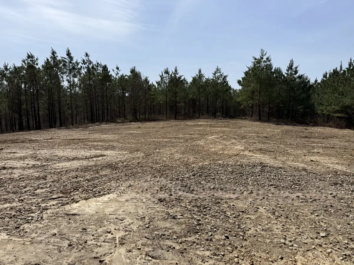 0 Hwy 231, Erin, TN 37061 - #1