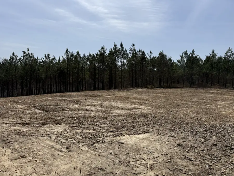 0 Hwy 231, Erin, TN 37061 - #3