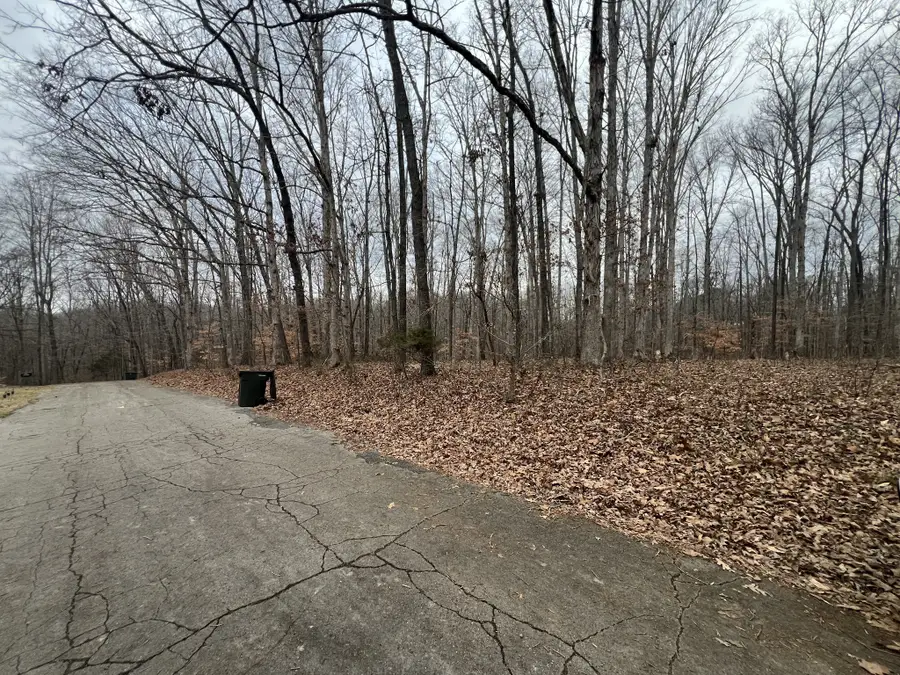 0 Chestnut St, Centerville, TN 37033 - #2