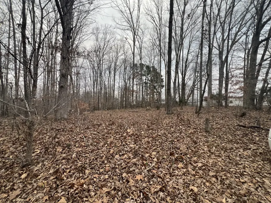 0 Chestnut St, Centerville, TN 37033 - #3