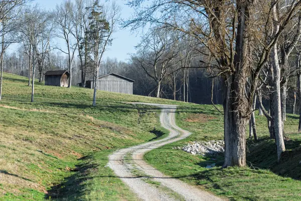 4648 Love Branch Rd, Hampshire, TN 38461