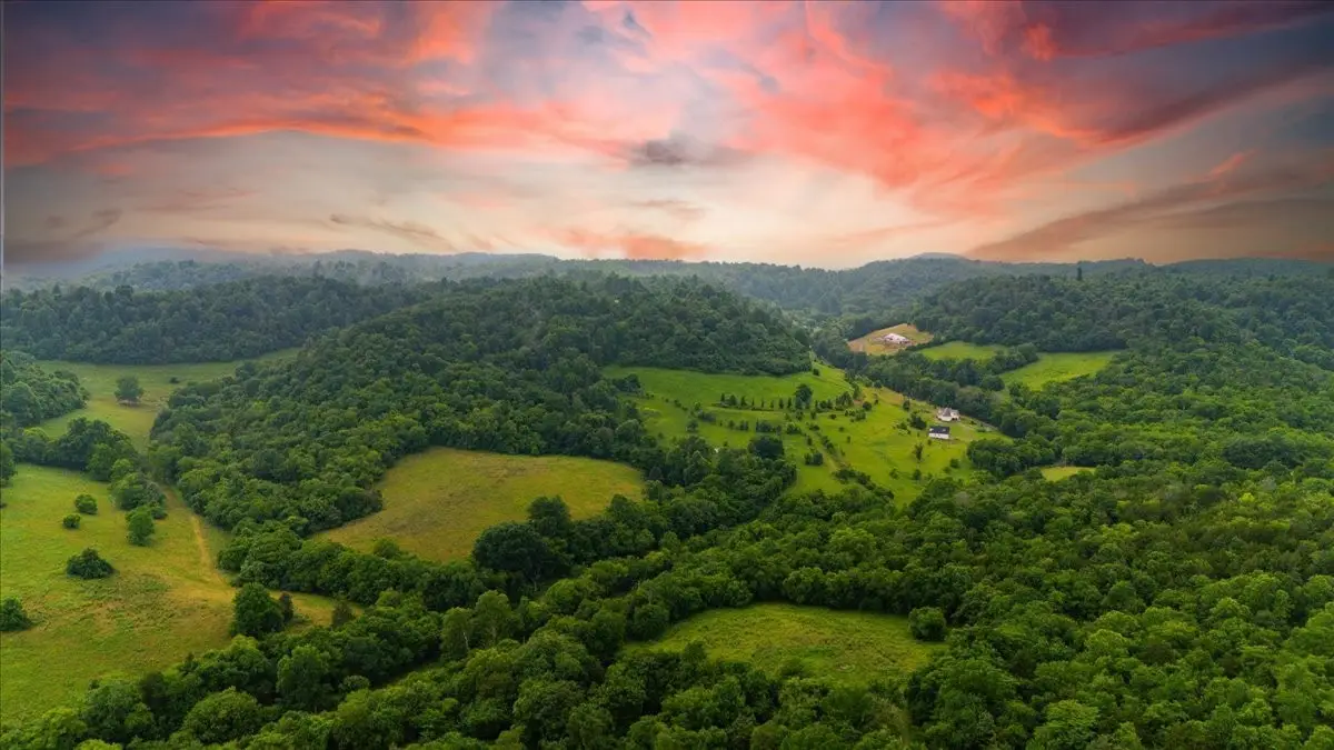 0 Opossum Paw Road, Beechgrove, TN 37018 - #1