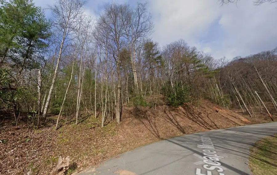 601 Escape Mountain Rd, Hampton, TN 37658 - #2