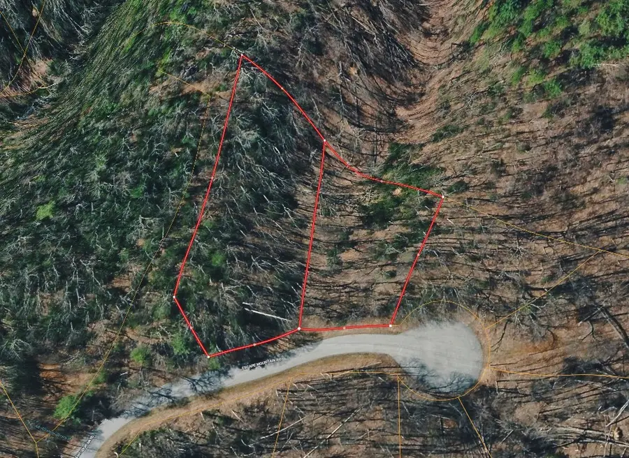 601 Escape Mountain Rd, Hampton, TN 37658 - #3