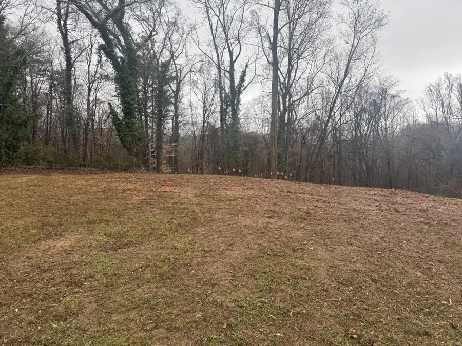 5412 Dorsey Street, Chattanooga, TN 37410 - #2