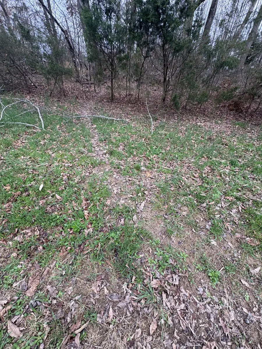 0 Bakerton Rd, Red Boiling Springs, TN 37150 - #3