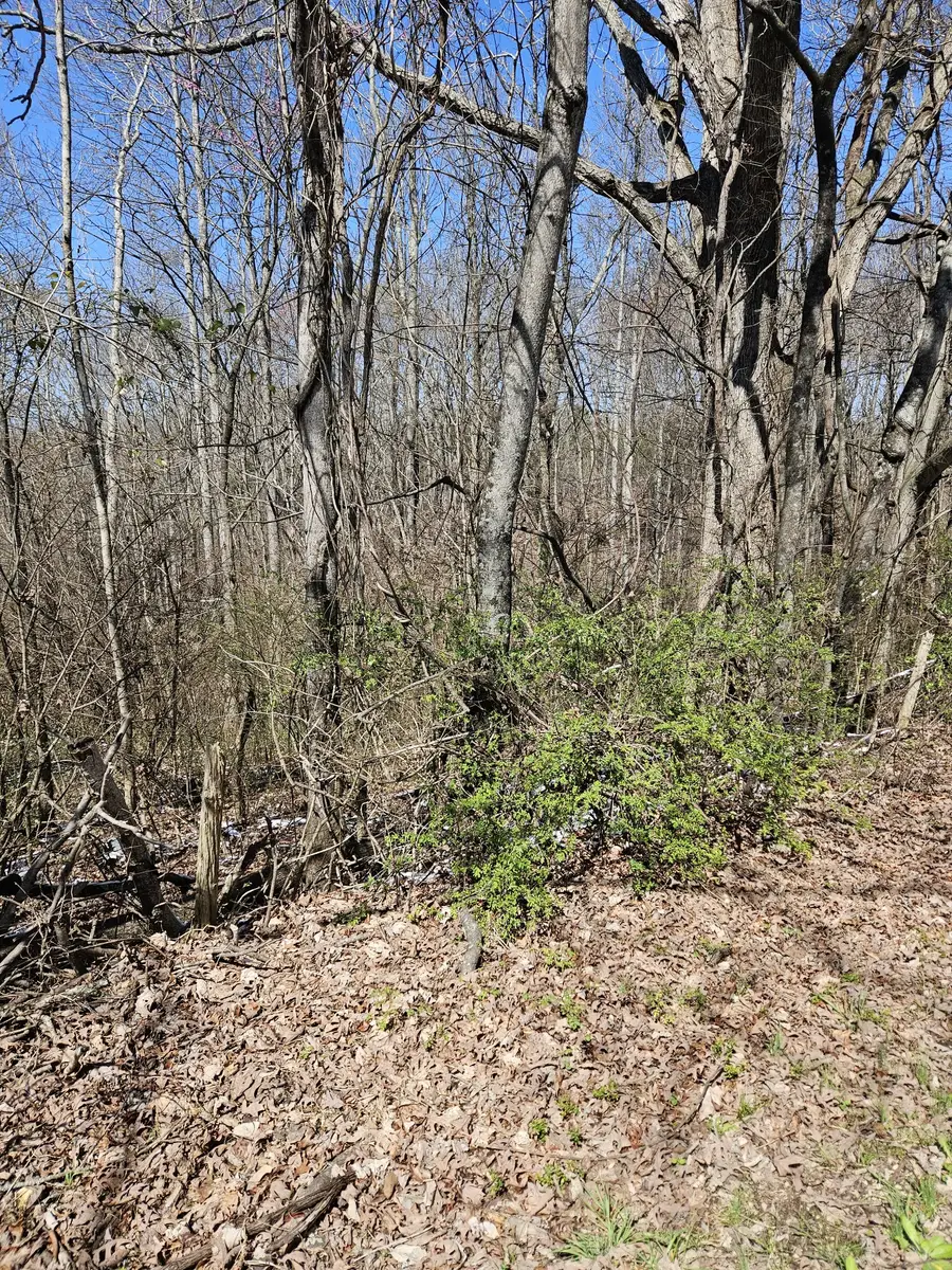 0 Lakeview Dr, Smithville, TN 37166 - #2