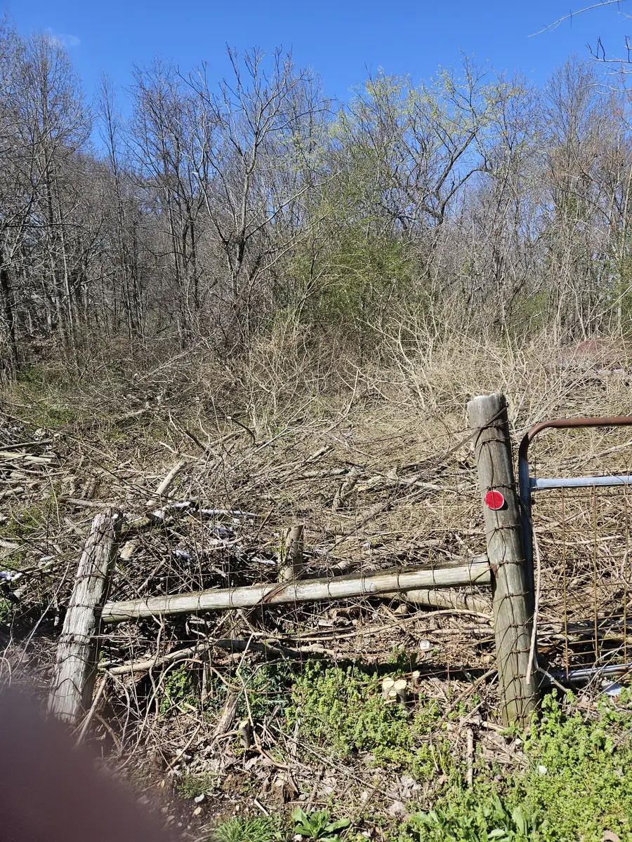 0 Lakeview Dr, Smithville, TN 37166 - #3