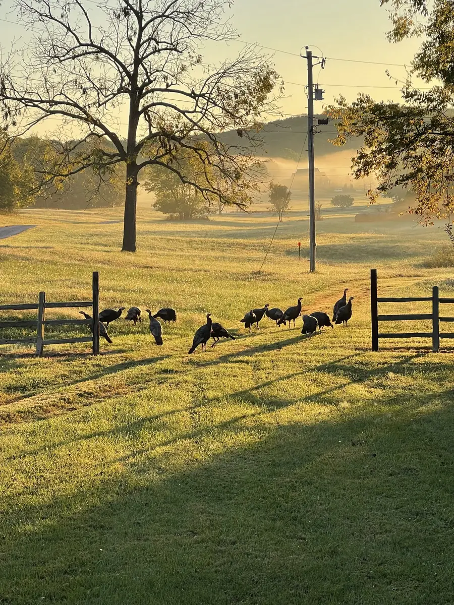 5946 Se Tater Peeler Rd, Lebanon, TN 37090 - #3