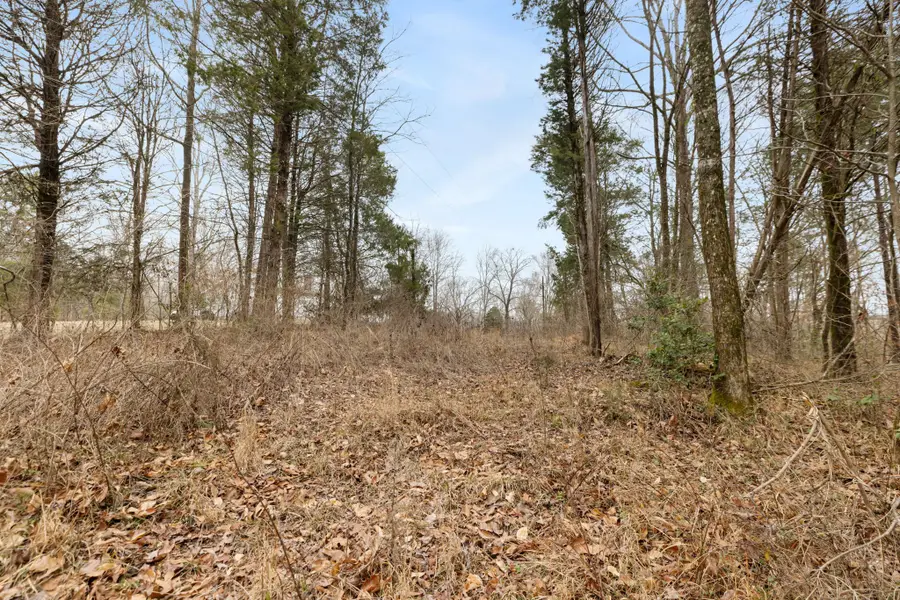 0 Griffintown Road, White Bluff, TN 37187 - #3