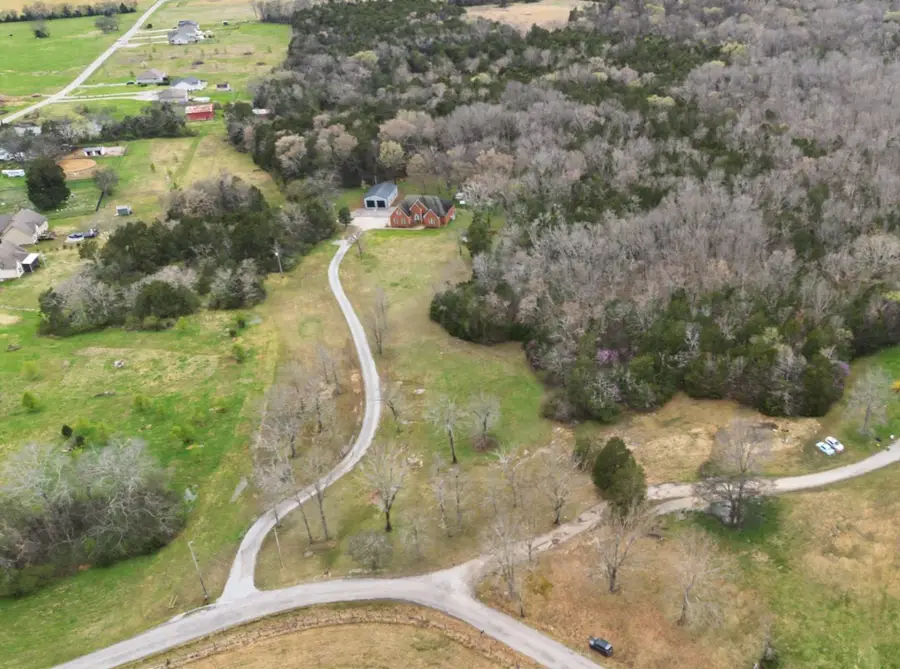 2320 Snake Town Rd, Chapel Hill, TN 37034 - #2