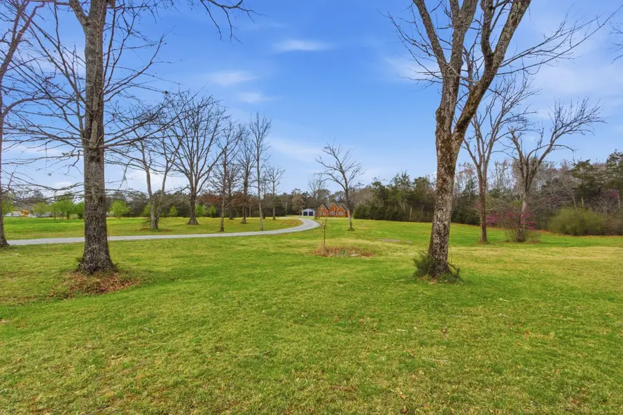 2320 Snake Town Rd, Chapel Hill, TN 37034 - #3
