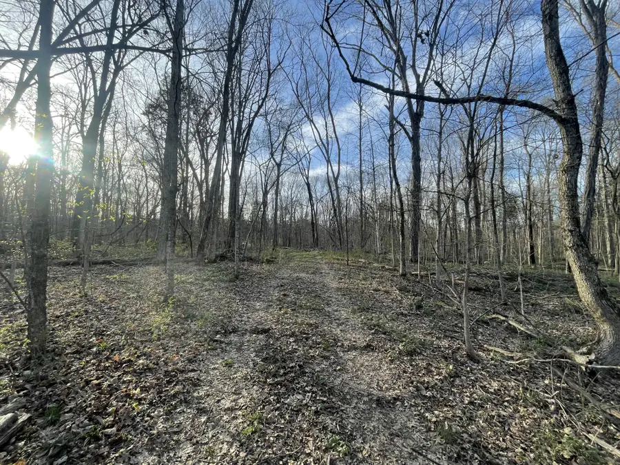 0 Christiana Fosterville Rd, Christiana, TN 37037 - #2