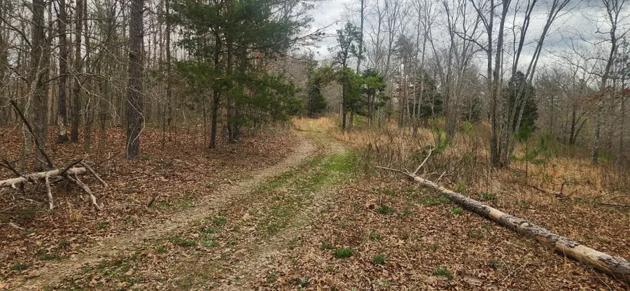 0 Nine Mile Ridge, Duck River, TN 38454 - #2