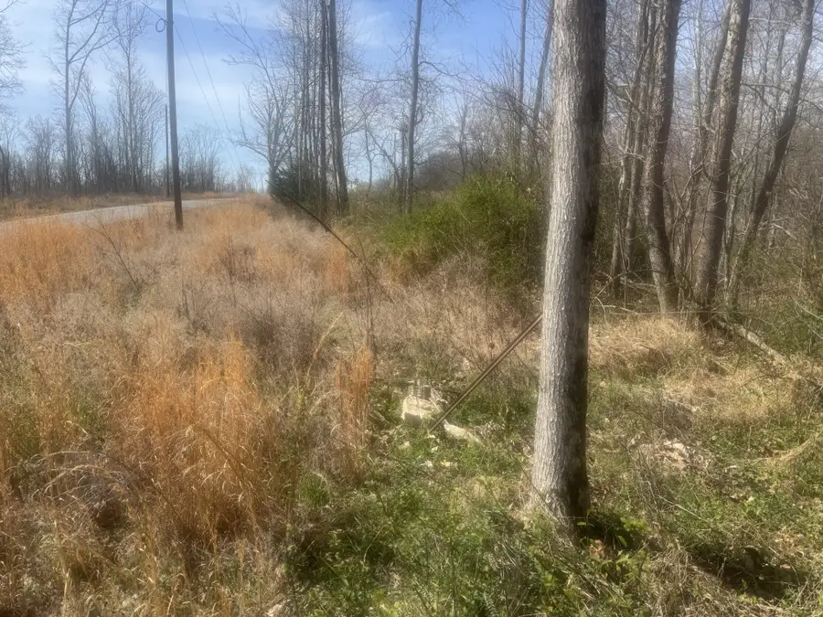 0 Ridgeway Drive, Smithville, TN 37166 - #2