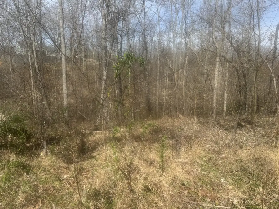 0 Ridgeway Drive, Smithville, TN 37166 - #3