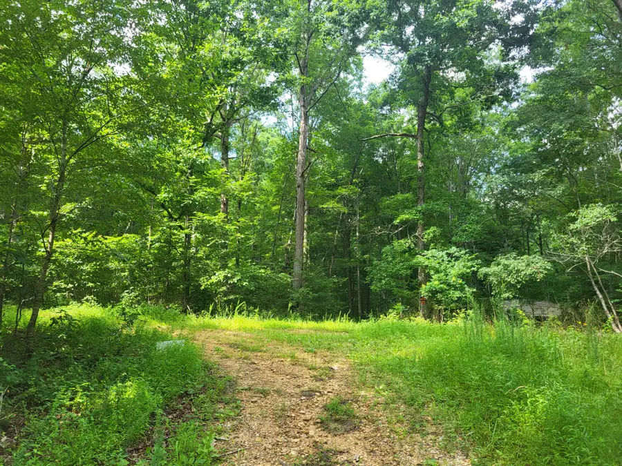 0 Mcdonald Loop, Dickson, TN 37055 - #2