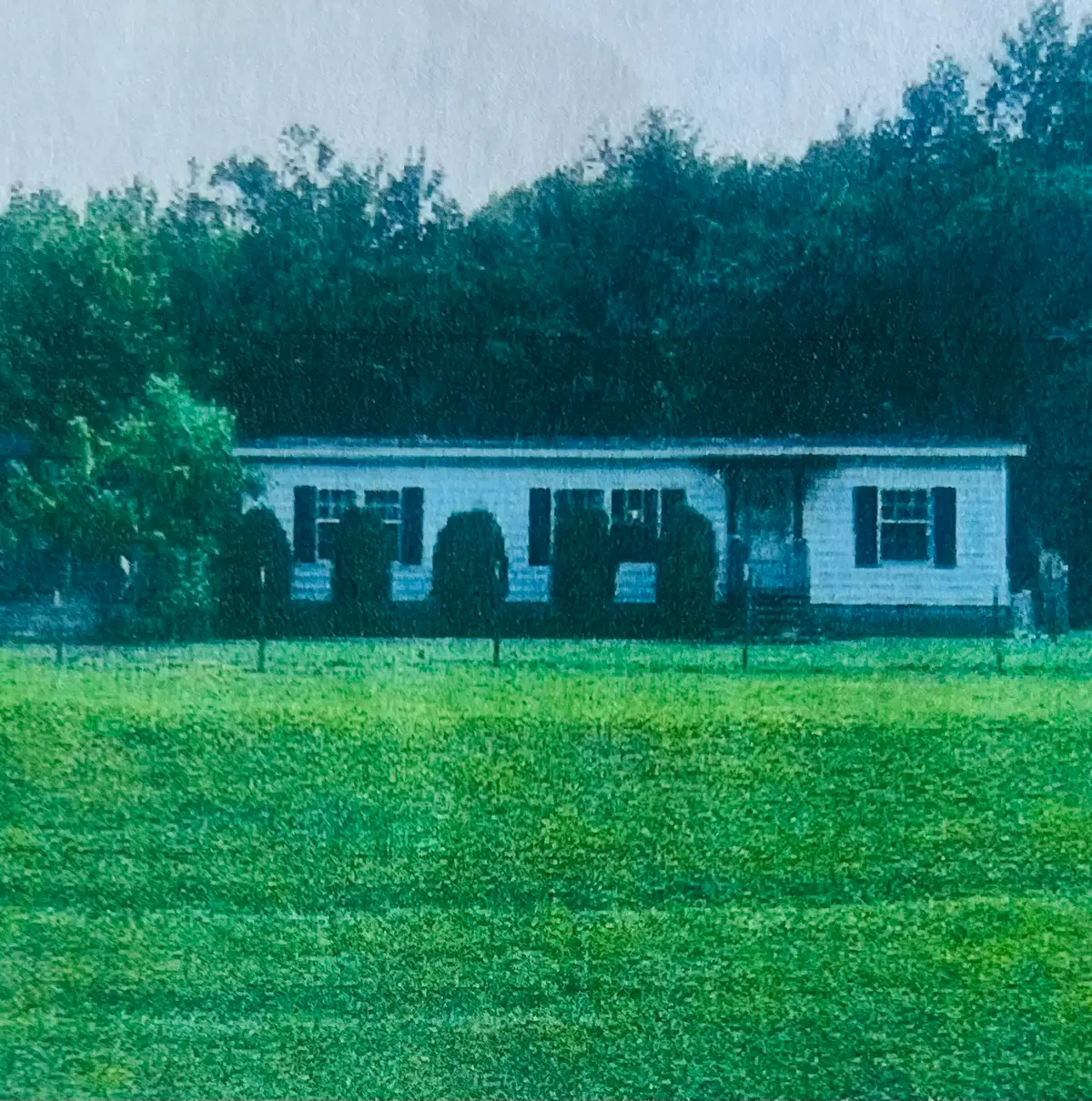 607 Sugartree Springs Rd, Belvidere, TN 37306 - #1