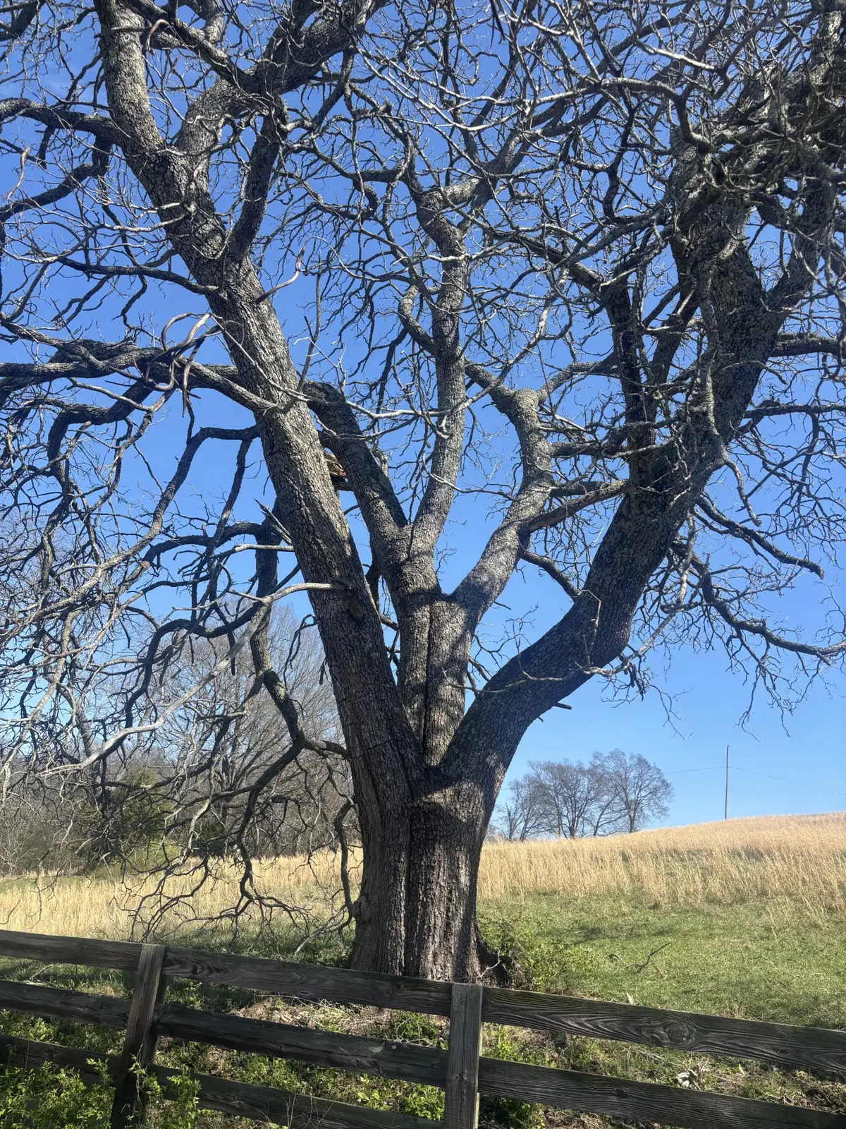 9849 Sam Donald Rd, Nolensville, TN 37135 - #1