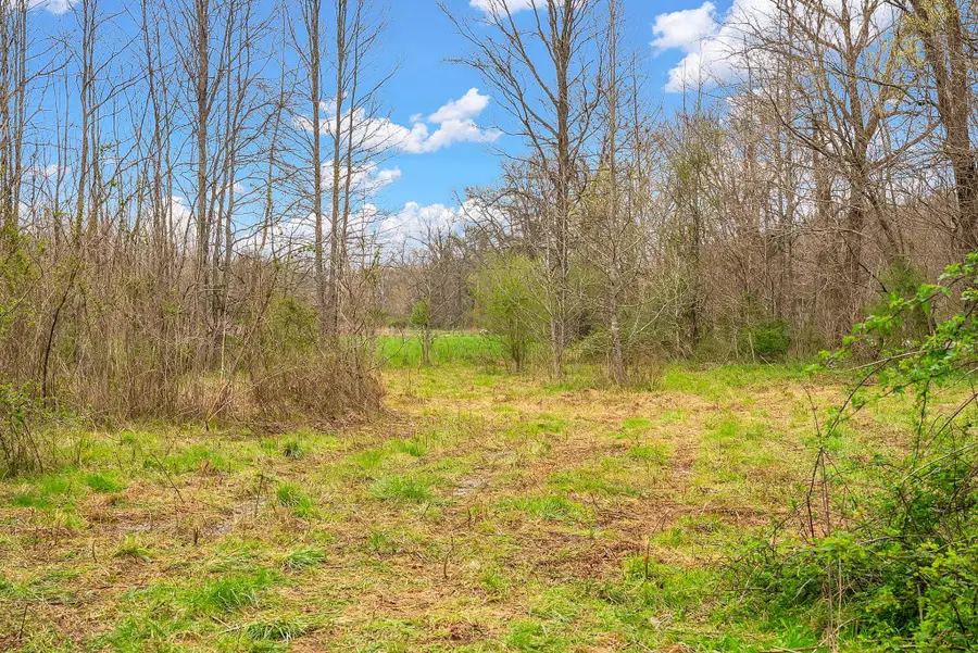 1540 Terrapin Branch Rd, Mount Pleasant, TN 38474 - #3