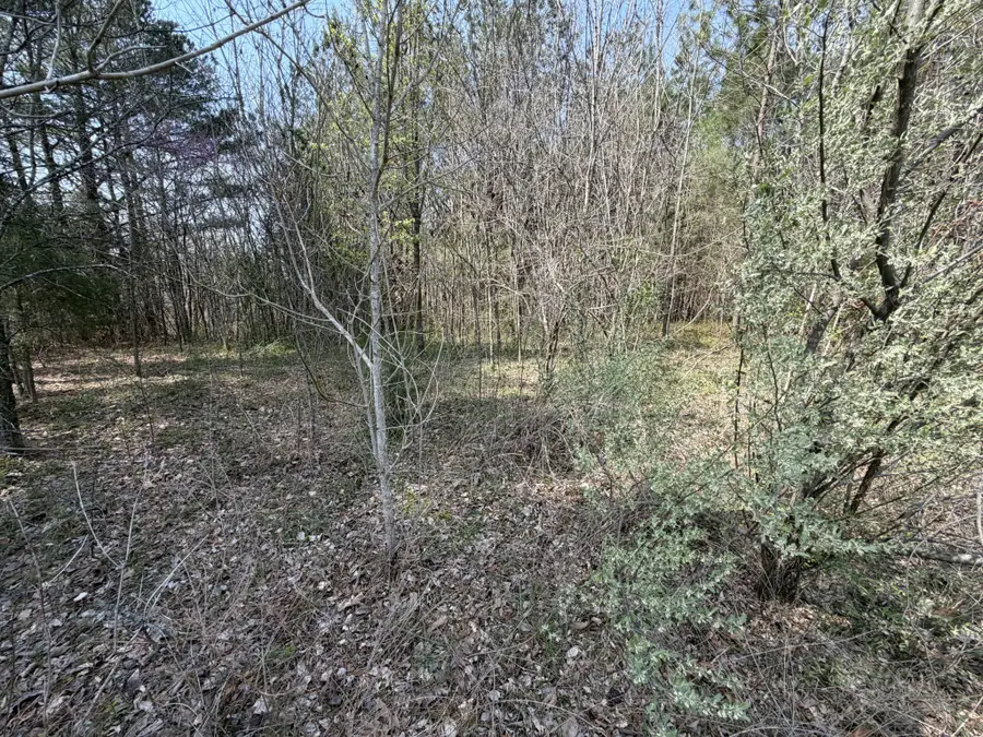 5106 Workman Rd, Southside, TN 37171 - #3